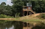 Wine Not? Taste the Essence of North Carolina on Wine Tasting!