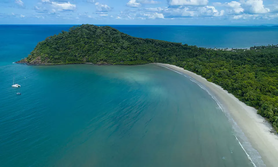 Daintree and Cape Tribulation: 1-Day 4WD Experience for Up to 4