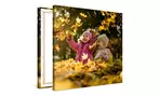 Small Personalized Canvas Sets, Up to 87% Off