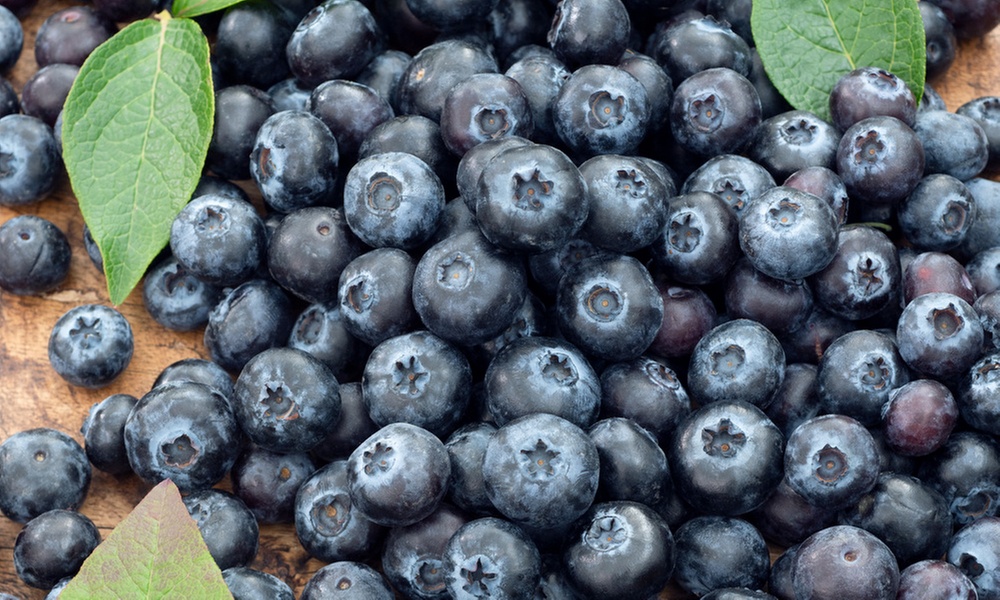 Lot de 2 ou 4 plantes fruitières Gardenzo, variétés au choix