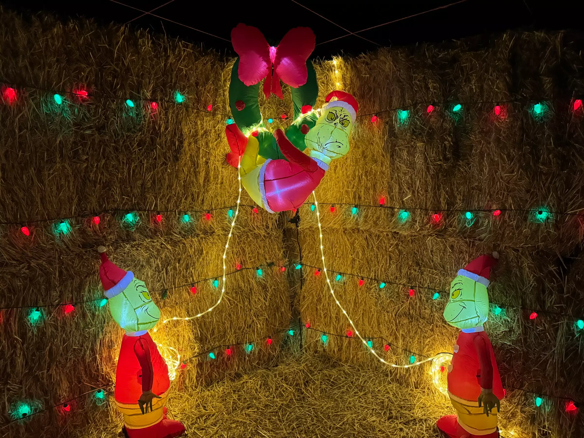 Lost in Christmas Admission to Shindig Farms