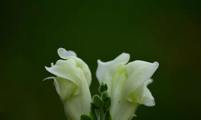 Foto-Webinar: Grundlagen der Fotografie