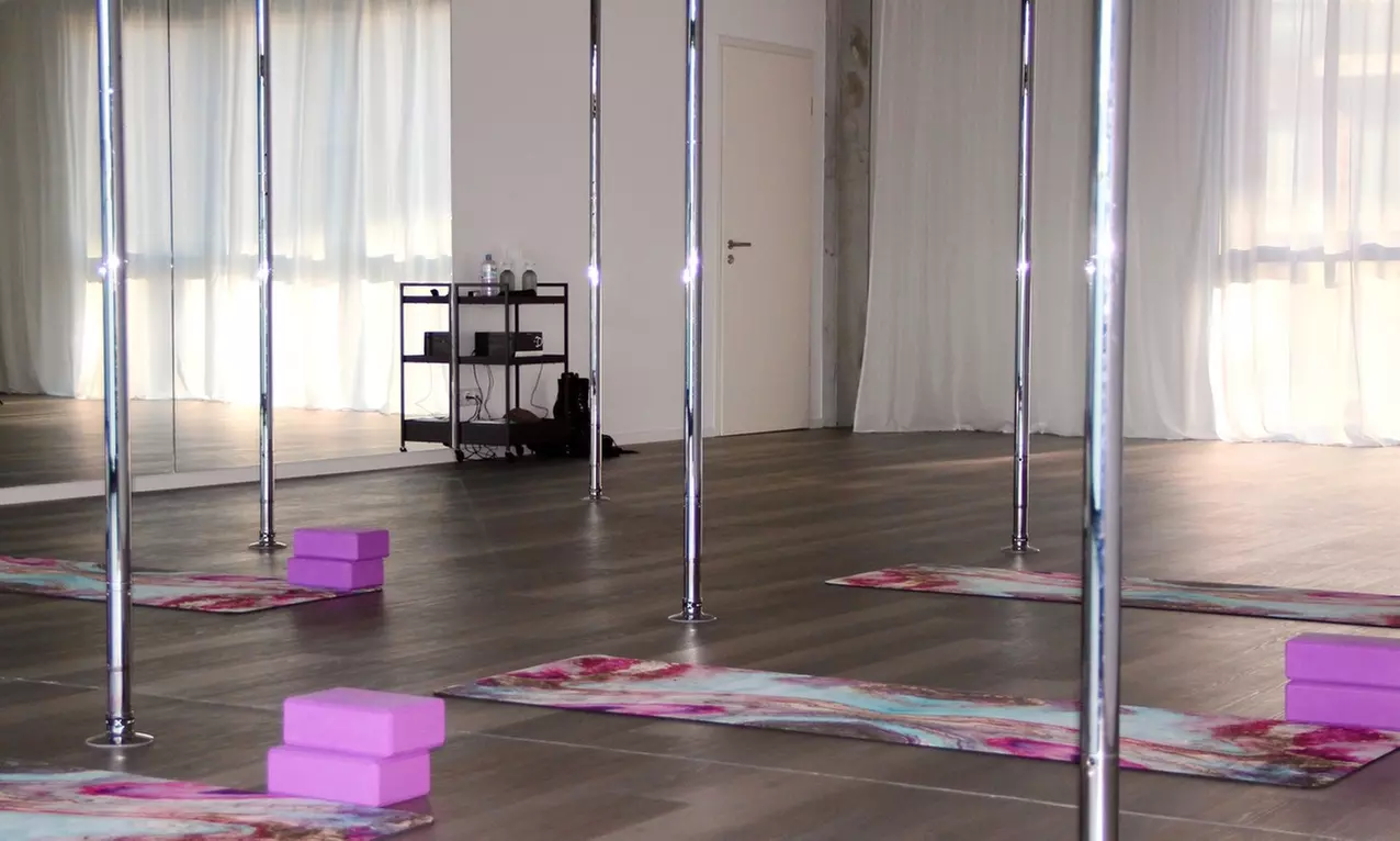 Pole Dance Probestunde in der Feel Good Factory