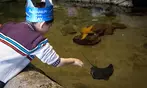 Aquarium of the Bay Ticket Deals & Discounts