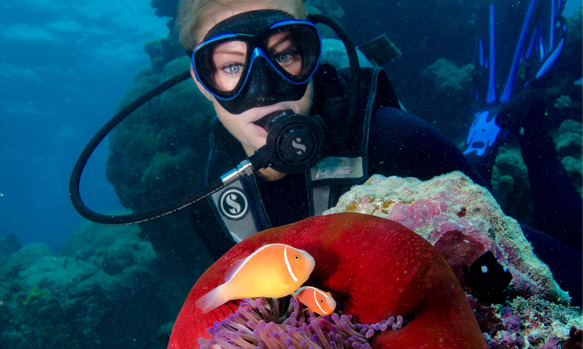 Cairns: One Child or One Adult for a Introductory SCUBA Dive