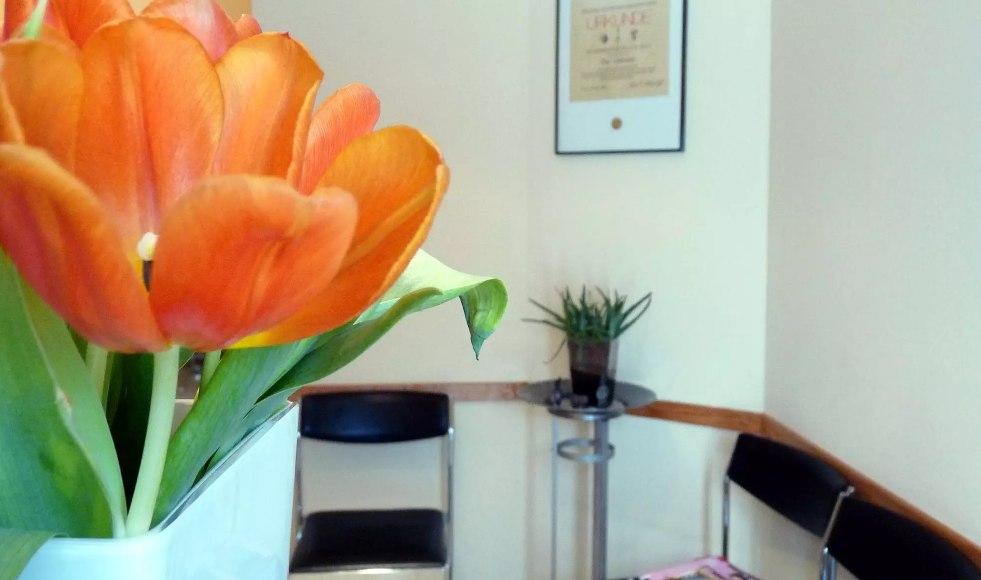 Osteopathie oder Chiropraktik