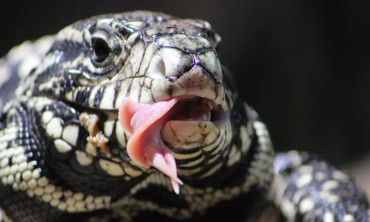 Eintrittskarte für SEA LIFE Timmendorfer Strand