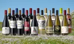 Splash Wines: 18 Top-Rated Bottles of Red, White, or Mixed Wine
