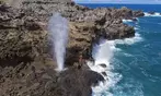 Discover Oahu’s Magic: Full-Day Oahu Circle Island Tour for 1, 2, or 4
