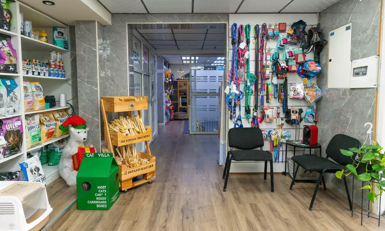 Pamper Cat or Small, Medium, Large or Extra Size Dog Full Pet Grooming