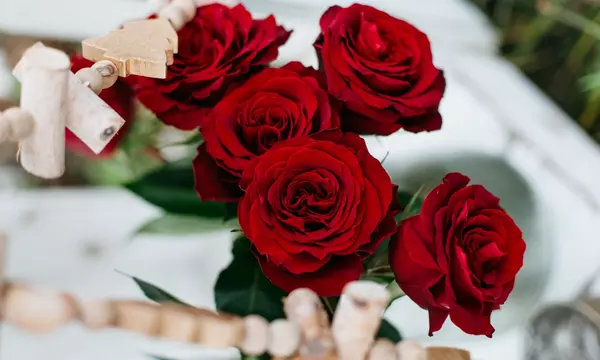 24, 36, 48, or 96 Luxury Long Stem Rose Bouquet (Red Roses or Choice of Color) from Rose Farmers (Up to 70% Off) - Second Medium