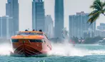 90-Minute Celebrity Homes and Millionaire Mansions Boat Tour