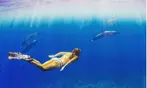 Up to 20% Off on Snorkeling at Sea Quest Rafting and Snorkeling Adventures