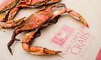 Premium Large Maryland Blue Crabs - Perfect Gift!