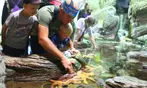 Aquarium of the Bay Ticket Deals & Discounts