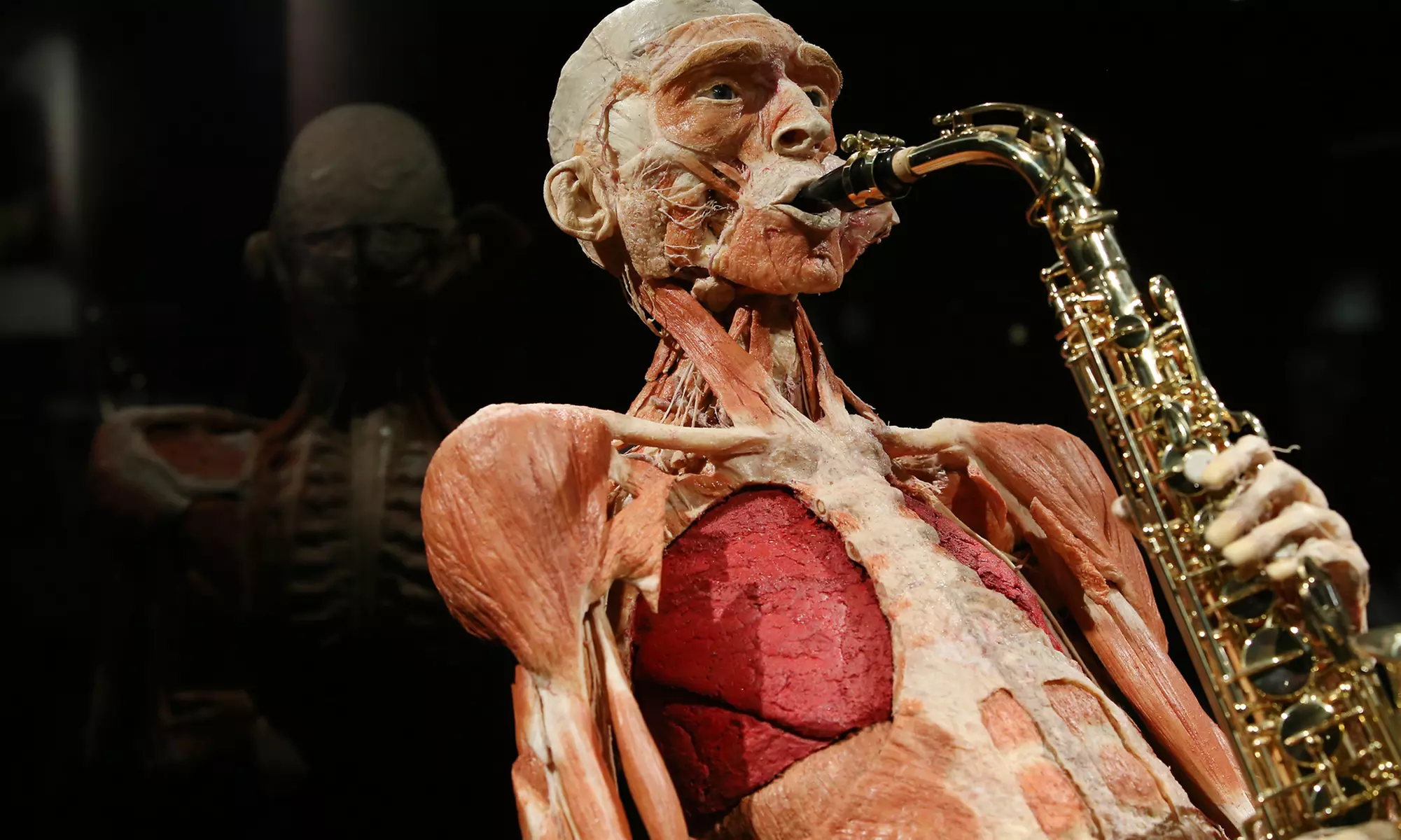 Erlebe den menschlichen Körper: Ticket für Körperwelten Amsterdam