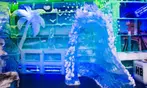 Up to 51% Off minus5° ICEBAR Cool Experience Ticket Deals for 1-6 People