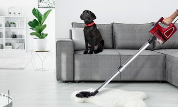 Aspirapolvere ciclonico Be Pro Home
