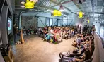 Tageskarte für „Veggienale“ vom 18.04. - 15.11. in 4 Städten