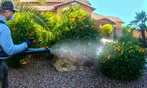 Pests Prevention and Elimination Treatment (Up to 54% Off).