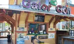 Mini-Golf Deals For One, Two, Three, or Four - Play Among Live Gators (Up To 50% Off)
