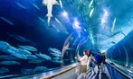 CityPASS- Save up to 45% on Admission to Top San Francisco Attractions