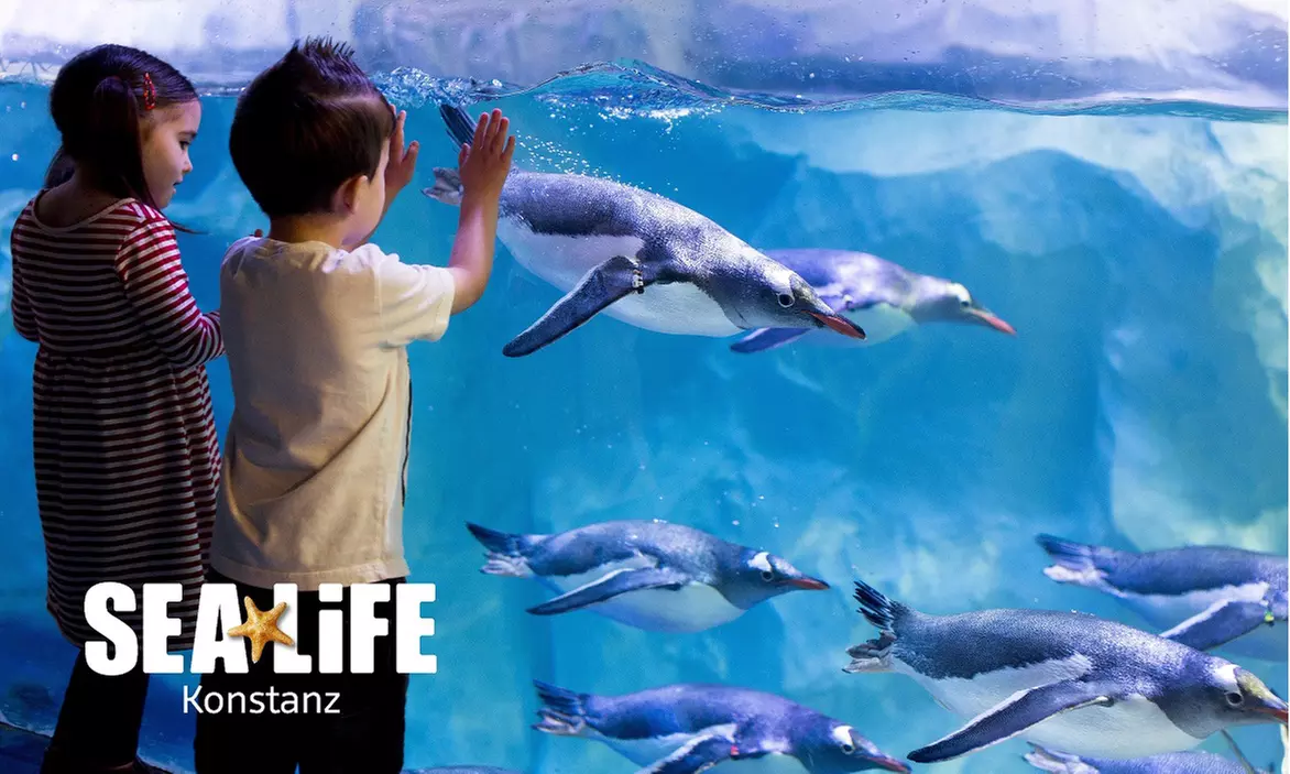 Standard-Ticket SEA LIFE Konstanz