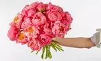Get FTD Flower Bouquets & Gourmet Gifts for Less - Save 55%