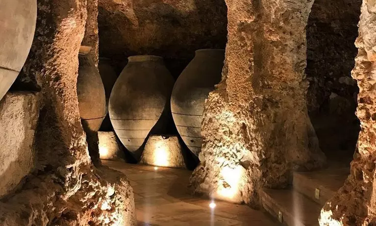 Conviértete en un profesional: visita a bodega con degustación