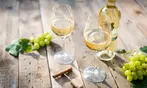 Splash Wines: 15 or 18-Bottle Ultimate White Wine Sampler