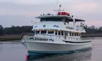 Dolphin Sightseeing Adventure Cruise