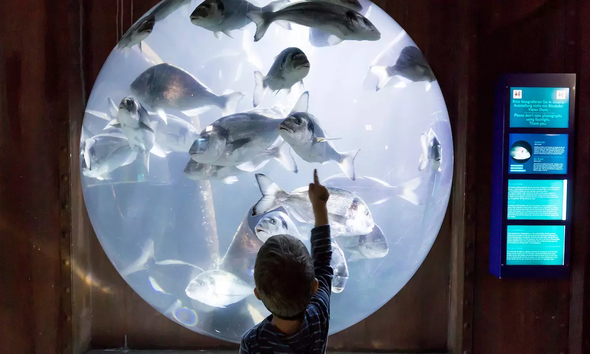 Ticket für 1 Kind oder 1 Erwachsenen für das „SEA LIFE Speyer“