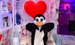 Up to 51% Off minus5° ICEBAR Cool Experience Ticket Deals for 1-6 People