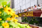 Big Bus Tours (Save up to 10%)