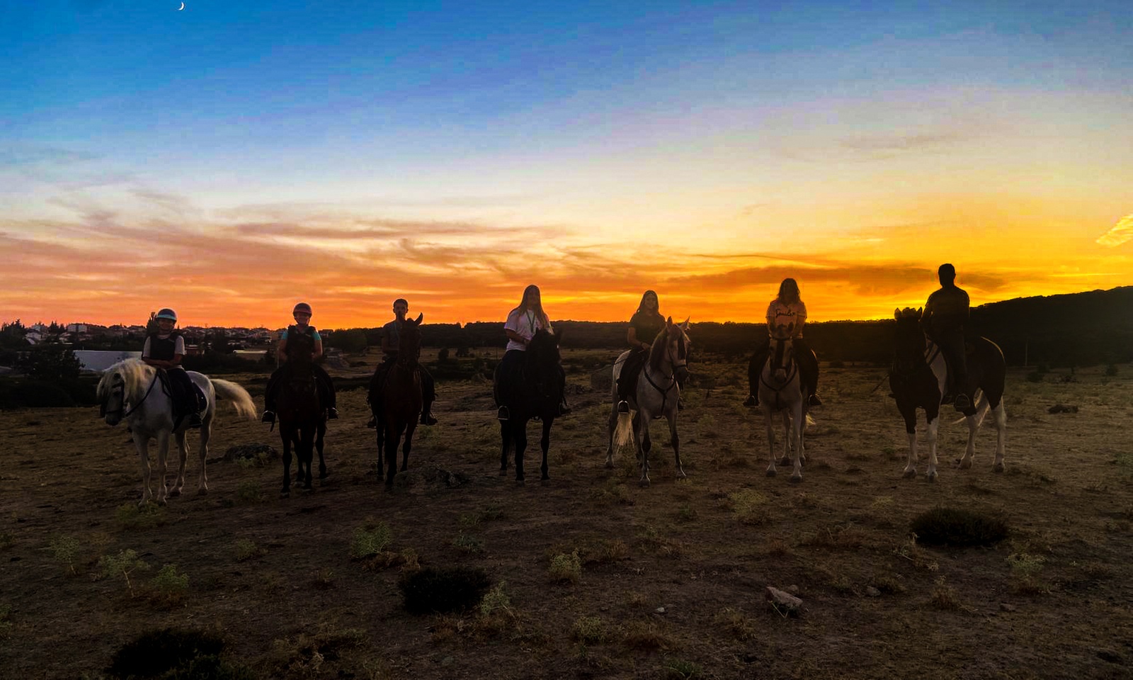 Disfruta de un paseo a caballo de una hora para hasta 4 personas