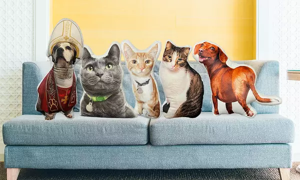 One Custom 3D Pet Pillow from Justyling (70% Off) - Second Medium