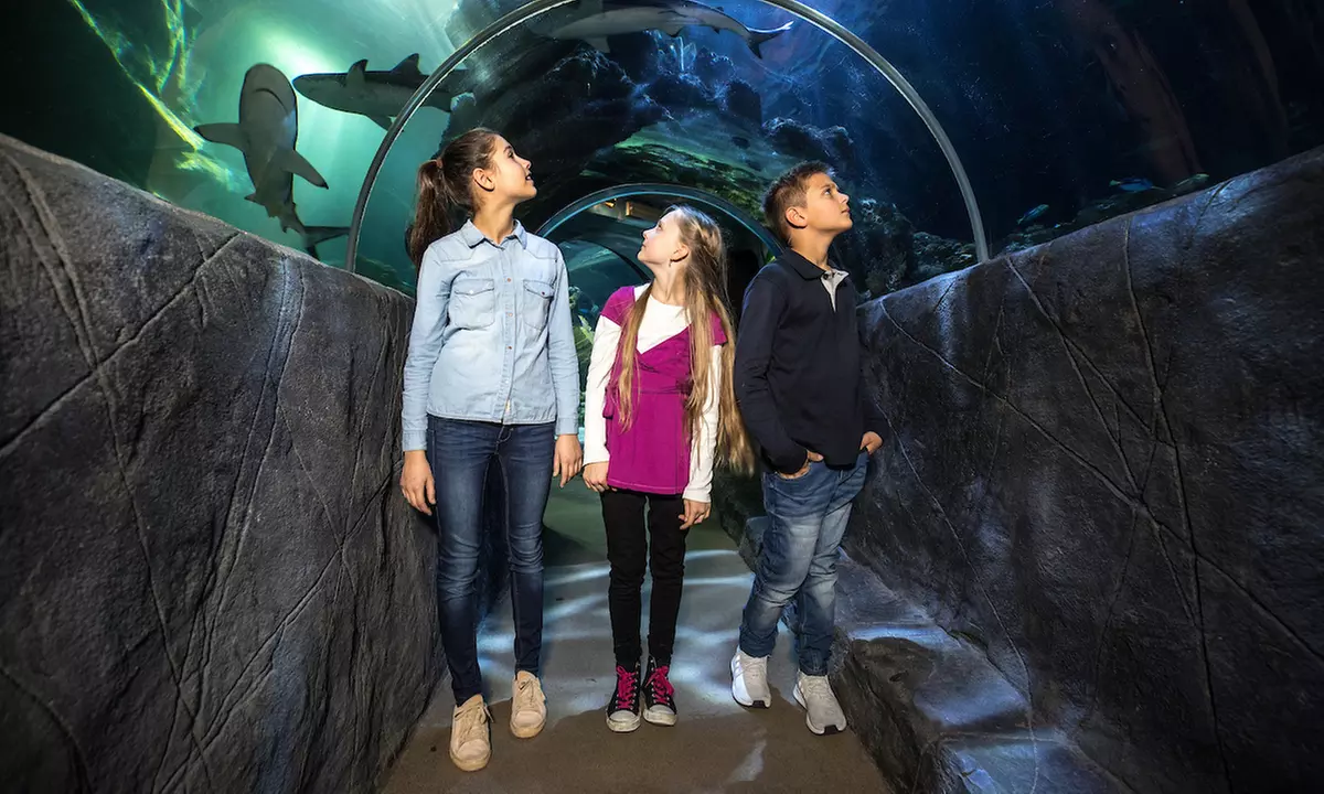 Ticket für 1 Kind oder 1 Erwachsenen für das „SEA LIFE München“