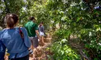 Exclusive Hawaii Helicopter Tours - Waterfalls, Valleys, Volcanoes!