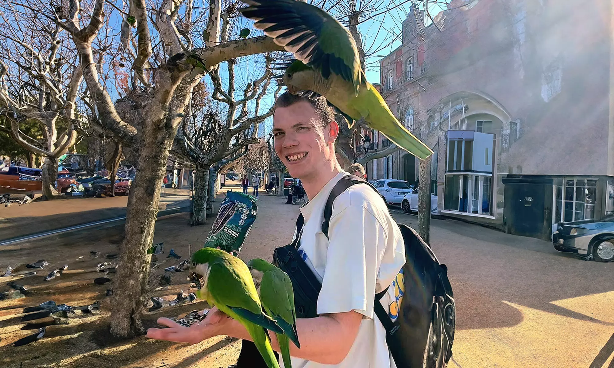 Tour guiado en bicicleta clásica o eléctrica por Barcelona