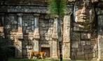Vive un viaje educativo y salvaje con una entrada a Bioparc Fuengirola