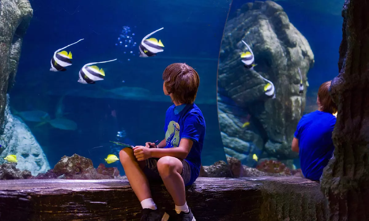 Ticket für 1 Kind oder 1 Erwachsenen für das „SEA LIFE München“