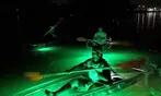 Glass Bottom Kayak LED Night Tour Deal - 75-Minute Fish Feeding Discount