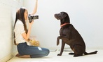 Herunterladbarer Online-Kurs: Tierfotografie mit praktischen Tipps