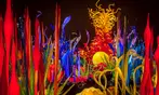 Space Needle & Chihuly Garden Discount Tickets