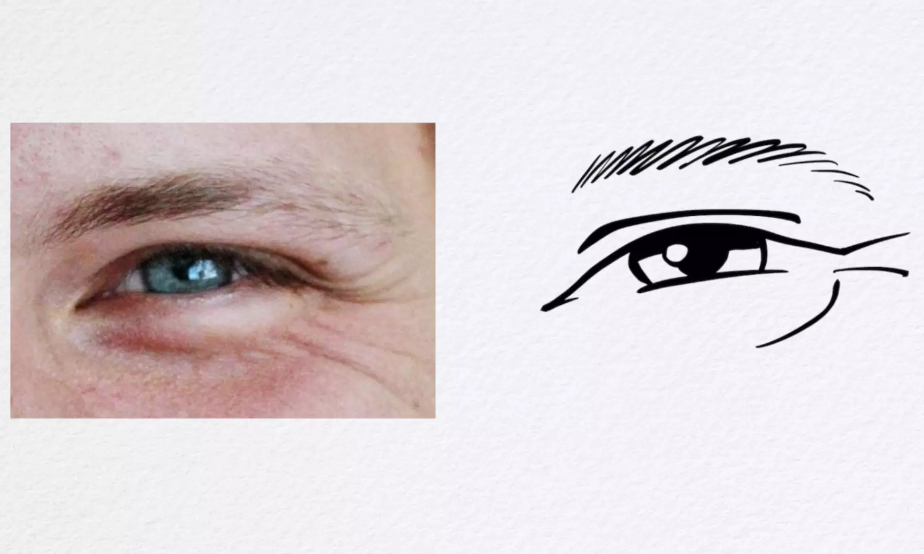 3 oder 12 Monate Online-Zeichenkurs: Karikaturen zeichnen