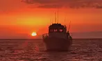 2-Hour Manta Ray Night Snorkel Adventure in Kona Waters