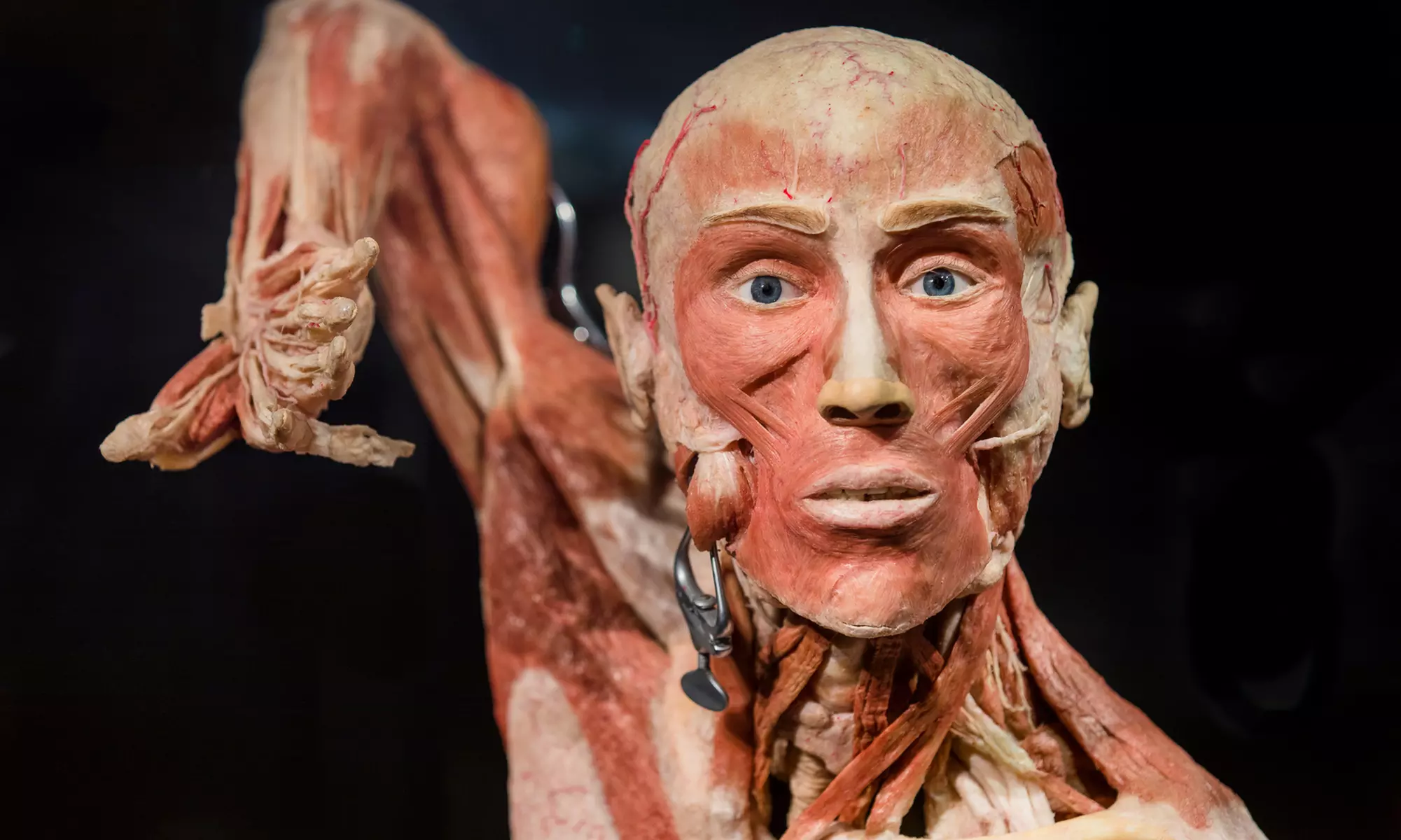 Erlebe den menschlichen Körper: Ticket für Körperwelten Amsterdam