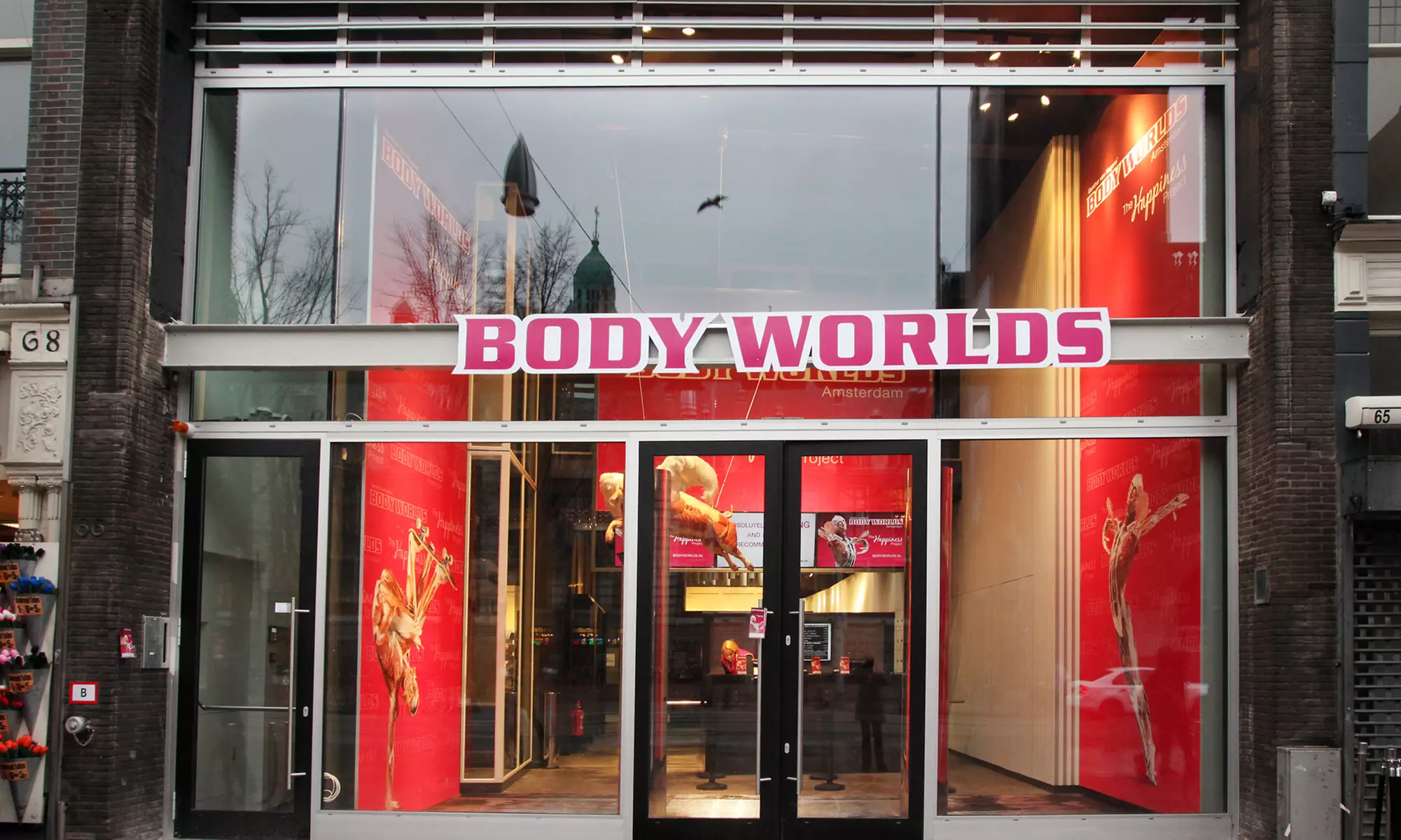 Erlebe den menschlichen Körper: Ticket für Körperwelten Amsterdam