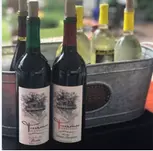Wine Not? Taste the Essence of North Carolina on Wine Tasting!