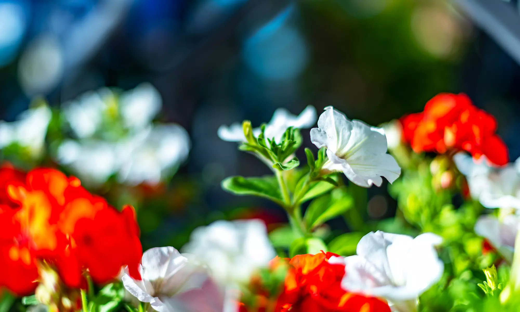Grundlagen-Fotokurs für Einsteiger in kleiner Gruppe